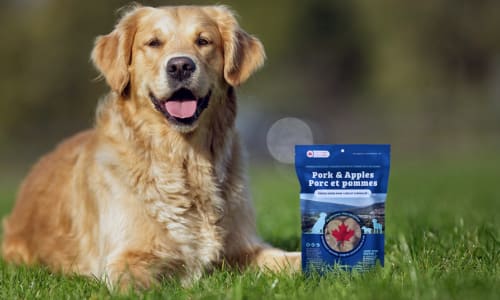 Marketing for retail Case Study: Big Air Foods